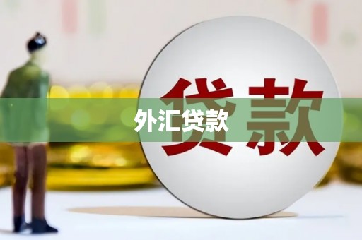 永寿外汇贷款
