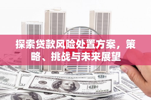 永寿探索贷款风险处置方案，策略、挑战与未来展望
