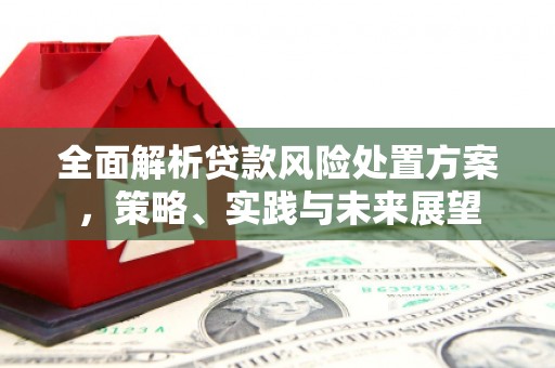 永寿全面解析贷款风险处置方案，策略、实践与未来展望