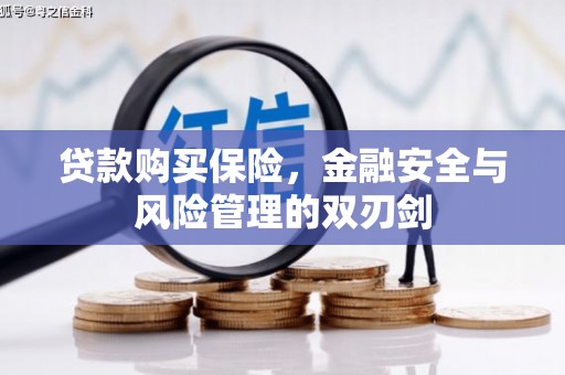 永寿贷款购买保险，金融安全与风险管理的双刃剑