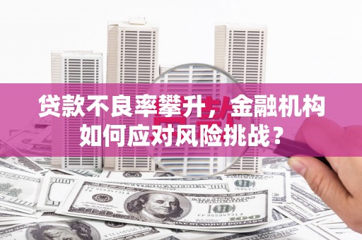 永寿贷款不良率攀升，金融机构如何应对风险挑战？