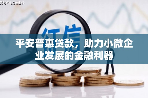 永寿平安普惠贷款，助力小微企业发展的金融利器