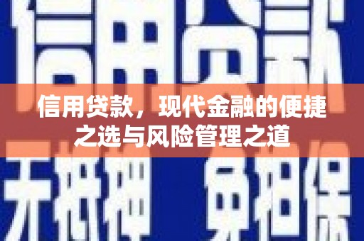 永寿信用贷款，现代金融的便捷之选与风险管理之道