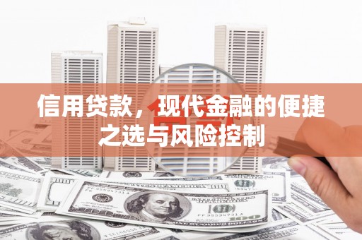 永寿信用贷款，现代金融的便捷之选与风险控制