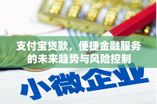 永寿支付宝贷款，便捷金融服务的未来趋势与风险控制