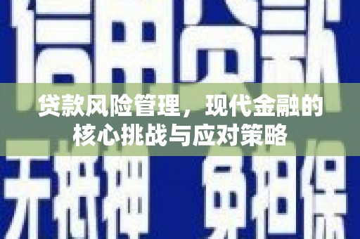 永寿贷款风险管理，现代金融的核心挑战与应对策略