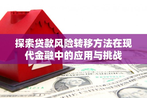 永寿探索贷款风险转移方法在现代金融中的应用与挑战