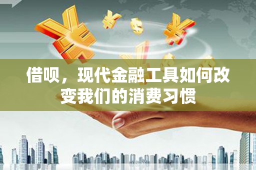 永寿借呗，现代金融工具如何改变我们的消费习惯