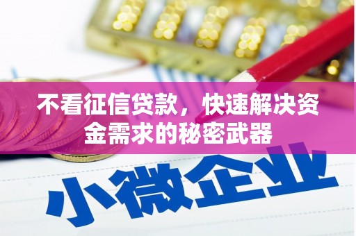 永寿不看征信贷款，快速解决资金需求的秘密武器