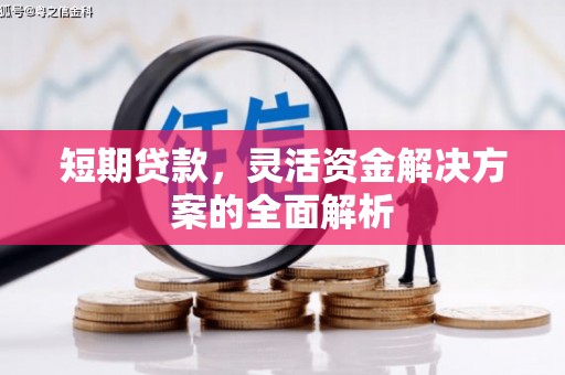 永寿短期贷款，灵活资金解决方案的全面解析