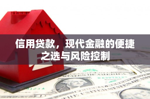 永寿信用贷款，现代金融的便捷之选与风险控制
