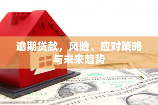 永寿逾期贷款，风险、应对策略与未来趋势