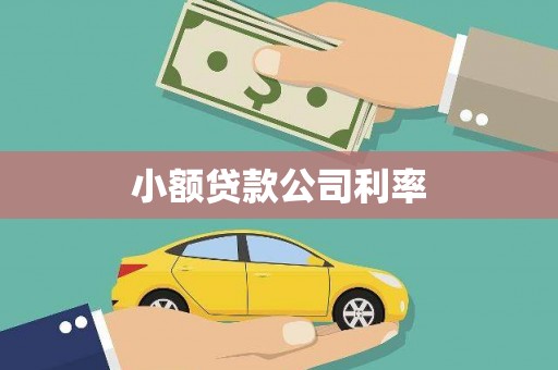 永寿小额贷款公司利率