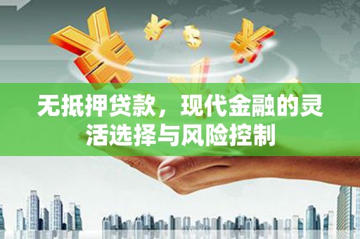 永寿无抵押贷款，现代金融的灵活选择与风险控制