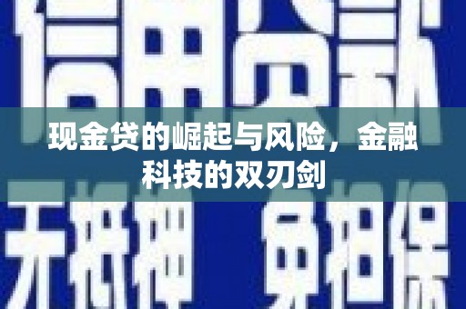 永寿现金贷的崛起与风险，金融科技的双刃剑