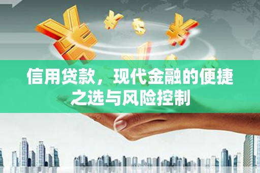 永寿信用贷款，现代金融的便捷之选与风险控制