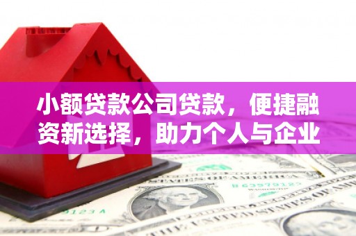 永寿小额贷款公司贷款，便捷融资新选择，助力个人与企业成长