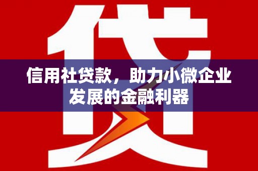 永寿信用社贷款，助力小微企业发展的金融利器