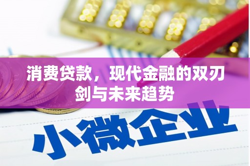 永寿消费贷款，现代金融的双刃剑与未来趋势