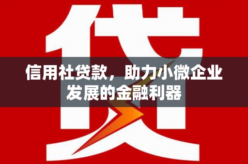 永寿信用社贷款，助力小微企业发展的金融利器