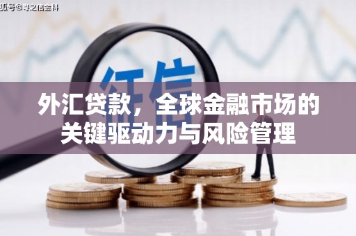 永寿外汇贷款，全球金融市场的关键驱动力与风险管理
