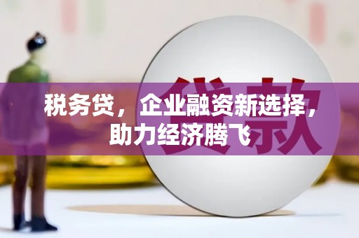 永寿税务贷，企业融资新选择，助力经济腾飞