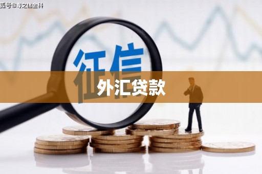永寿外汇贷款