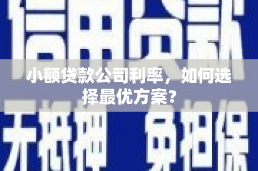 永寿小额贷款公司利率，如何选择最优方案？