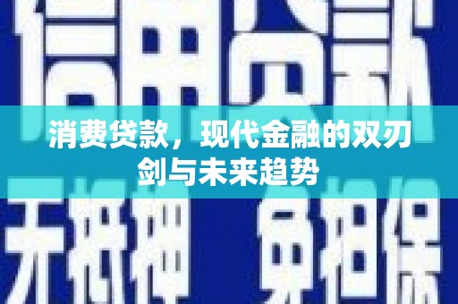 永寿消费贷款，现代金融的双刃剑与未来趋势