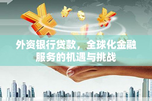 永寿外资银行贷款，全球化金融服务的机遇与挑战