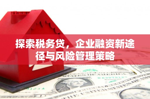 永寿探索税务贷，企业融资新途径与风险管理策略