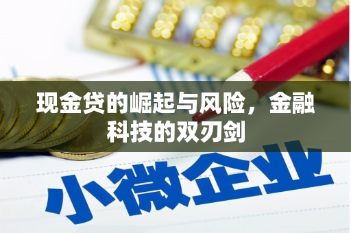 永寿现金贷的崛起与风险，金融科技的双刃剑