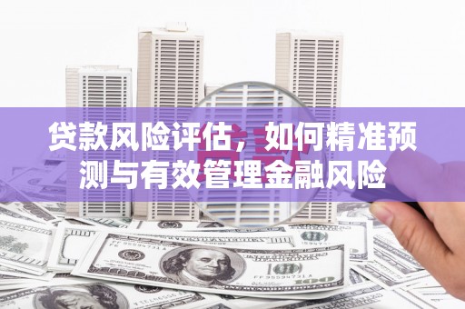 永寿贷款风险评估，如何精准预测与有效管理金融风险