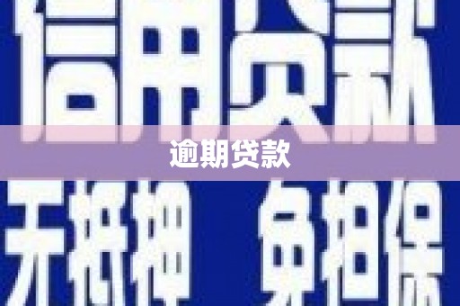 永寿逾期贷款