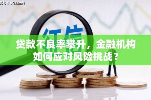 永寿贷款不良率攀升，金融机构如何应对风险挑战？