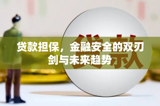 永寿贷款担保，金融安全的双刃剑与未来趋势