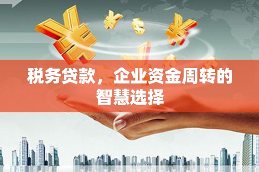 永寿税务贷款，企业资金周转的智慧选择