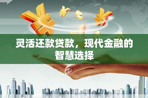 永寿灵活还款贷款，现代金融的智慧选择