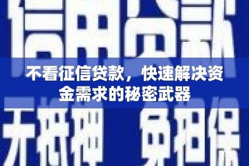 永寿不看征信贷款，快速解决资金需求的秘密武器