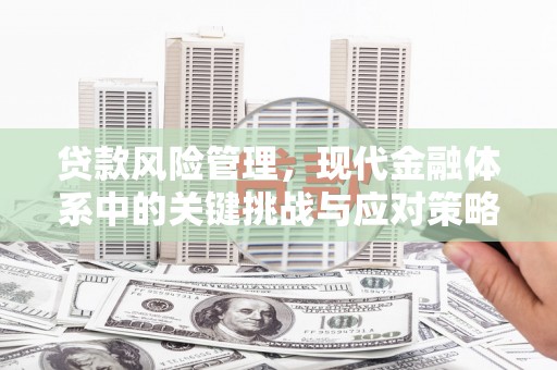 永寿贷款风险管理，现代金融体系中的关键挑战与应对策略