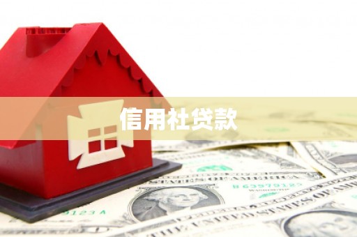 永寿信用社贷款