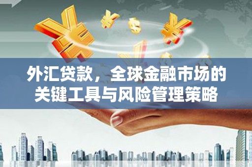 永寿外汇贷款，全球金融市场的关键工具与风险管理策略