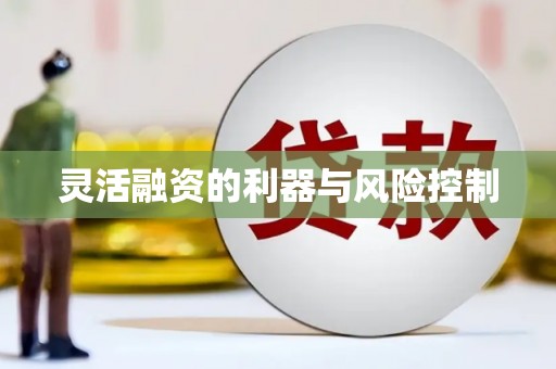 永寿灵活融资的利器与风险控制