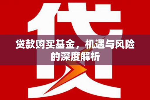 永寿贷款购买基金，机遇与风险的深度解析