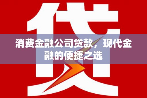 永寿消费金融公司贷款，现代金融的便捷之选
