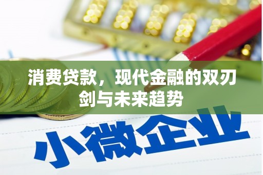 永寿消费贷款，现代金融的双刃剑与未来趋势