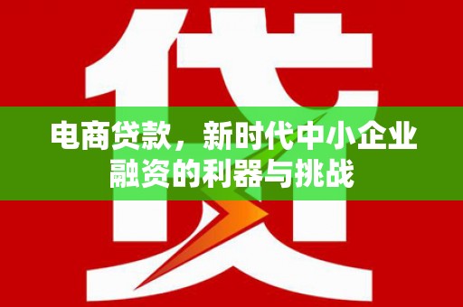 永寿电商贷款，新时代中小企业融资的利器与挑战