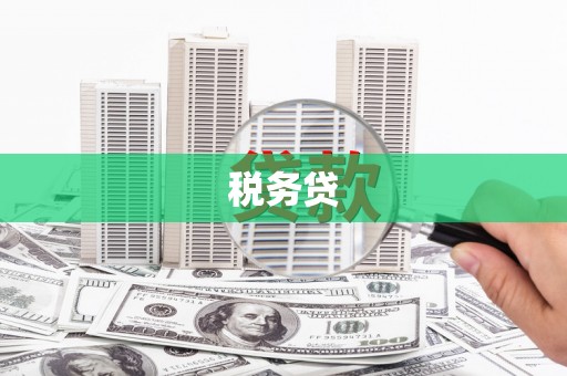 永寿税务贷