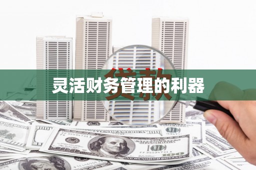 永寿灵活财务管理的利器