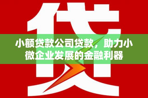 永寿小额贷款公司贷款，助力小微企业发展的金融利器
